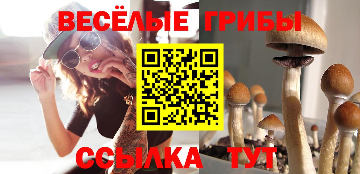 где можно купить   Вход с VPN  Долгопрудный  Галлюциногенные грибы мицелий 